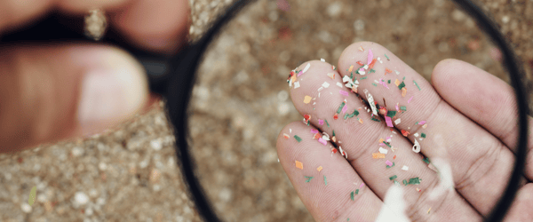 Your Definitive Guide to Minimizing Plastic Exposure and Reducing Plastic Accumulation in the Body