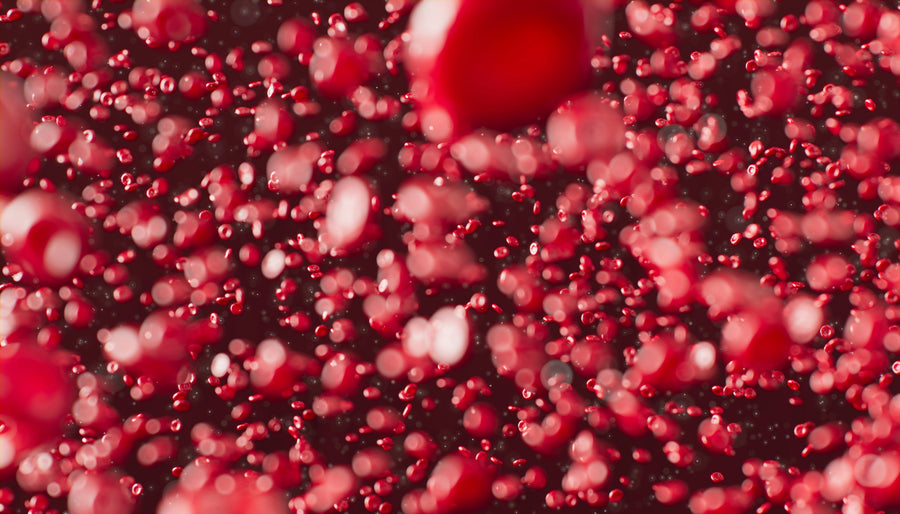 Baseline Biomarkers - Learn About What Labs We Test