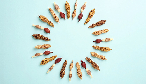 Smarter Snacking: How to Snack to enhance your health, not sabotage your efforts.
