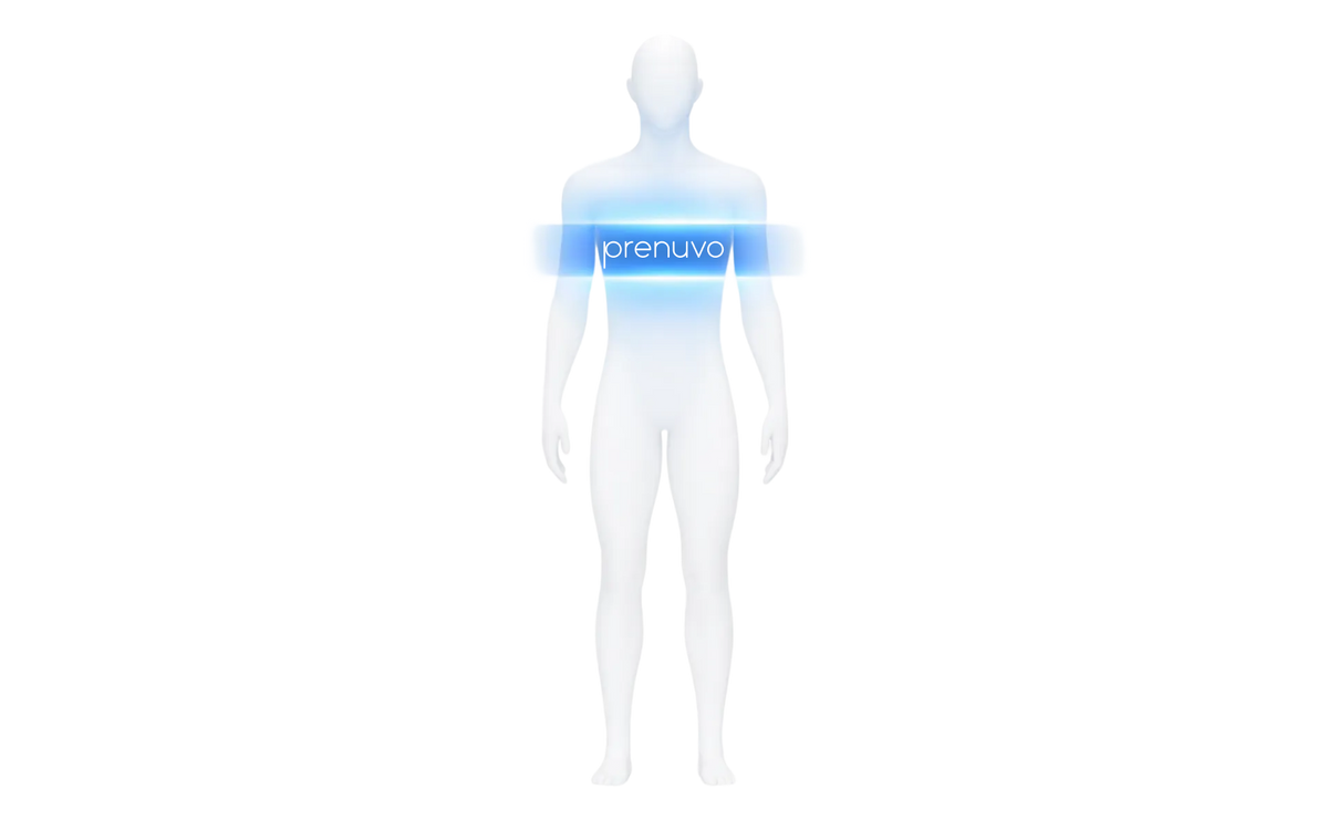 Full Body MRI Scan