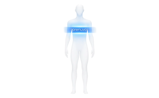 Full Body MRI Scan
